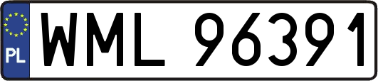 WML96391