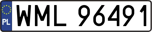 WML96491