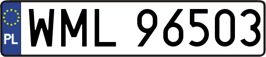 WML96503