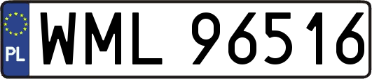 WML96516