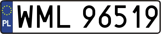 WML96519