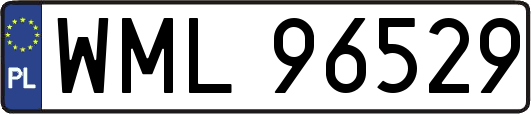 WML96529