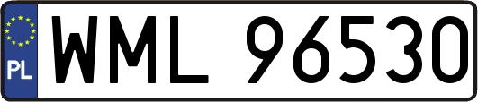 WML96530