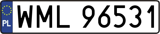 WML96531