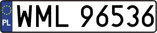 WML96536