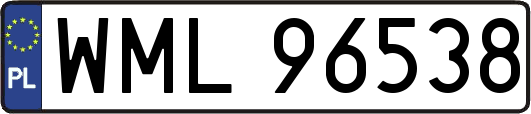 WML96538