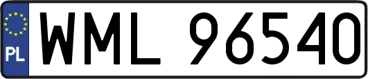 WML96540