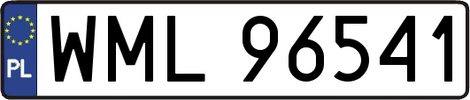 WML96541