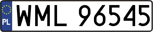 WML96545