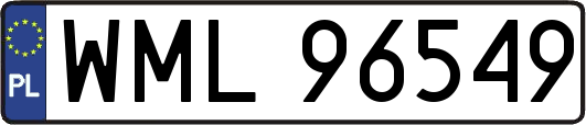 WML96549
