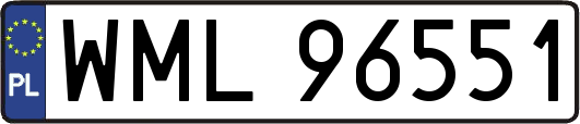 WML96551