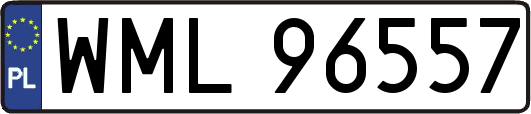 WML96557