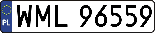 WML96559