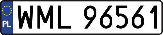 WML96561