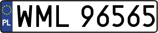 WML96565