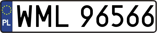 WML96566