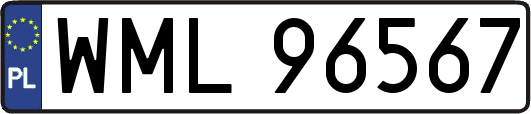WML96567