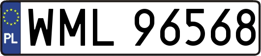 WML96568