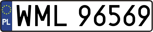 WML96569