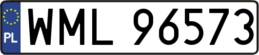 WML96573