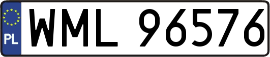 WML96576