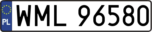 WML96580
