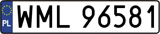 WML96581