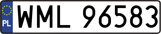 WML96583
