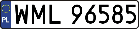 WML96585
