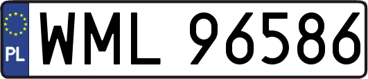 WML96586