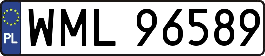 WML96589