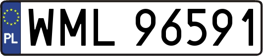 WML96591