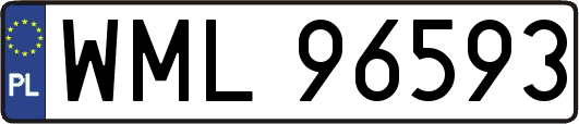 WML96593