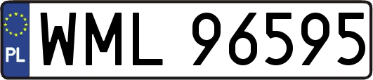 WML96595