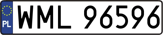 WML96596