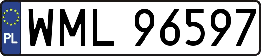 WML96597
