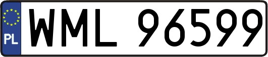 WML96599