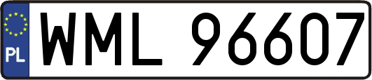 WML96607