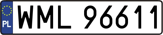 WML96611