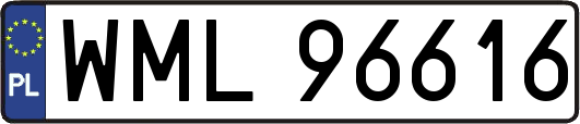 WML96616