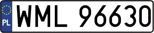 WML96630