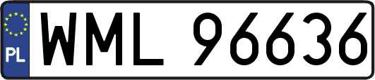 WML96636