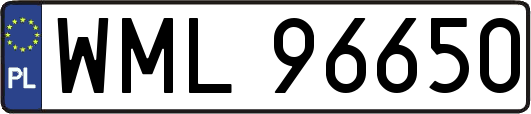 WML96650