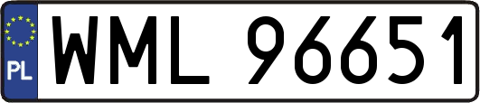 WML96651