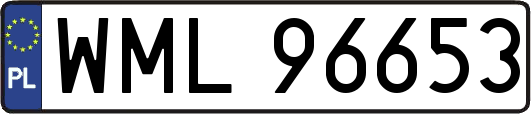 WML96653