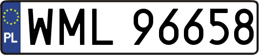 WML96658
