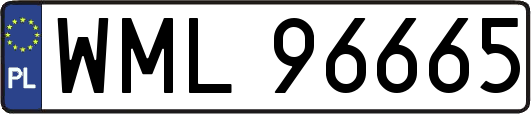 WML96665