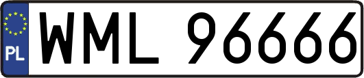 WML96666