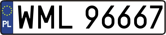 WML96667