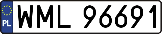 WML96691